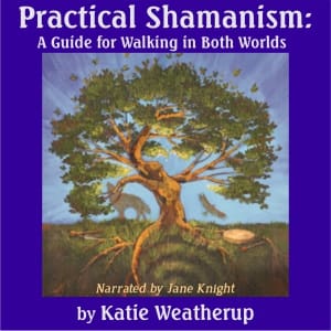 Practical Shamanism: A Guide for Walking in Both Worlds Practical Shamanism: A Guide for Walking in Both Worlds