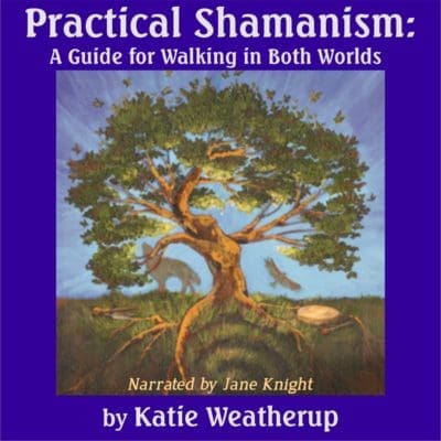 Cover art with tree for audiobook of Practical Shamanism